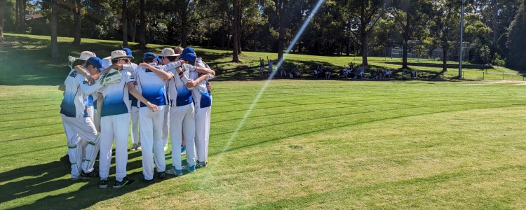Junior cricket in Turramurra